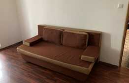 Apartament 2 camere, 56 mp, pet friendly, Astra!