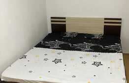 Apartament 2 camere, 56 mp, pet friendly, Astra!