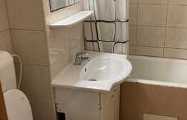 Apartament 2 camere, 56 mp, pet friendly, Astra!