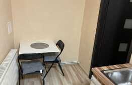 Garsoniera de 42 mp, pet friendly, Centru Istoric!