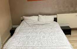 Garsoniera de 42 mp, pet friendly, Centru Istoric!