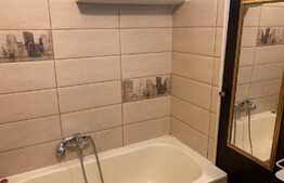 Garsoniera de 42 mp, pet friendly, Centru Istoric!