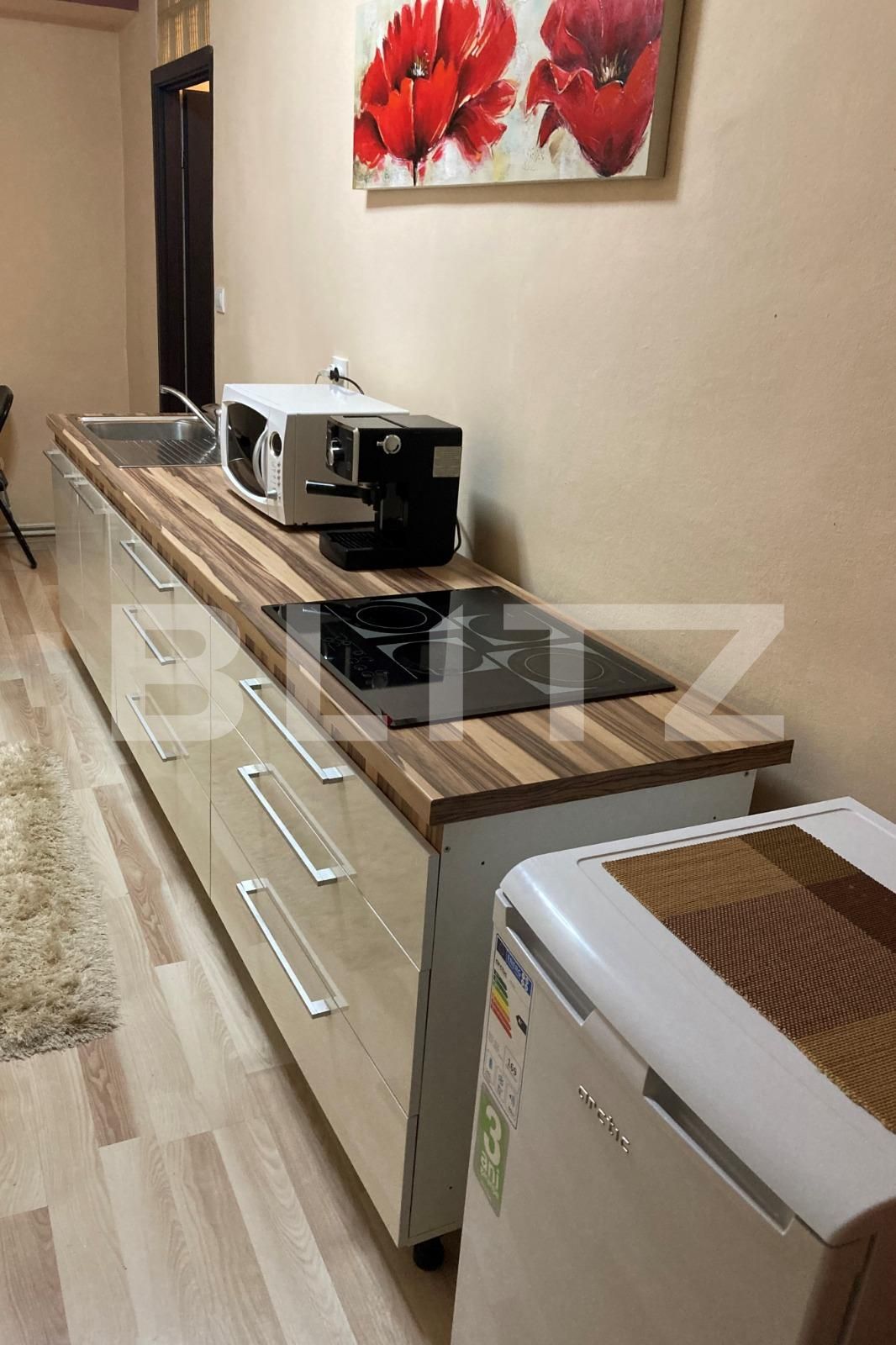 Garsonieră de închiriat Centrul Istoric - 72875AI | BLITZ Brașov | Poza3