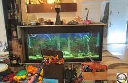 3 camere, 68 mp, boxa, zona strazii Bucium