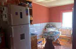 Apartament de doua camere, 50mp, in zona Casa Piratilor