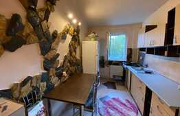 Apartament de 3 camere, 55 mp, zona Noua  