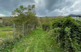 Teren de vanzare , 16 ml front, 1018 mp, zona Roata.