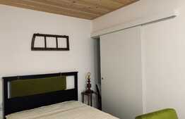 Apartament 2 camere, 50 mp, parcare, pet friendly, zona strazii Calea Motilor, Central