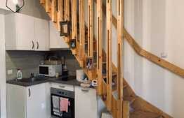 Apartament 2 camere, 50 mp, parcare, pet friendly, zona strazii Calea Motilor, Central