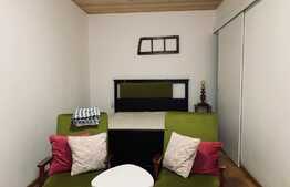 Apartament 2 camere, 50 mp, parcare, pet friendly, zona strazii Calea Motilor, Central