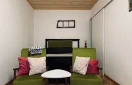 Apartament 2 camere, 50 mp, parcare, pet friendly, zona strazii Calea Motilor, Central