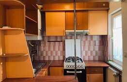 Apartament 2 camere, 55 mp, curte, zona Sigma 