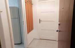 Apartament de 2 camere, 47 mp, aer conditionat, zona strazii Horea