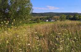 Teren intravilan cu suprafata de 3090 mp in Valcele