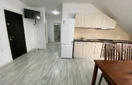 Apartament 2 camere decomandate, modern,  53 mp, zona Cetatii!