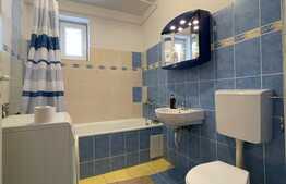 Apartament de inchiriat, 40 mp, balcon, zona strazii Frunzisului 