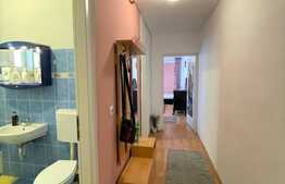 Apartament de inchiriat, 40 mp, balcon, zona strazii Frunzisului 