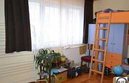 Vanzare apartament 3 camere, 65 mp utili, zona Albac