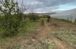 Casa individuala pe un singur nivel , 80 mp , teren 1800 mp , posibilitate schimb, Luna de Sus 