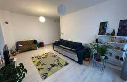 Casa individuala pe un singur nivel , 80 mp , teren 1800 mp , posibilitate schimb, Luna de Sus 