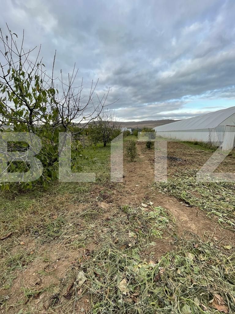 Casa de vânzare 3 camere Exterior Vest - 73093CV | BLITZ Cluj-Napoca | Poza8