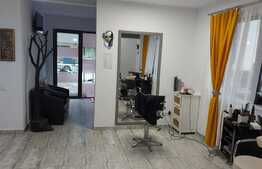 Apartament de 2 camere, terasa de 24 mp, parcare subterana, zona Terra