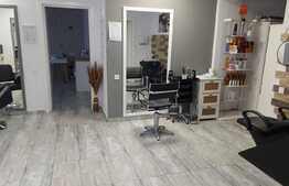 Apartament de 2 camere, terasa de 24 mp, parcare subterana, zona Terra