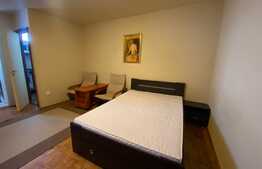 Garsonieră, 30 mp, decomandata, zona străzii Detunata