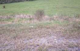 Teren intravilan cu suprafata de 2100 mp in Feleac