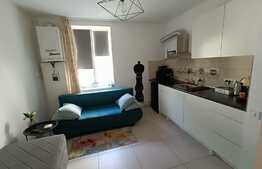 Corp de casa independent, 44 mp, 500 mp teren, Centrul istoric