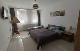 Corp de casa independent, 44 mp, 500 mp teren, Centrul istoric