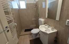 Corp de casa independent, 44 mp, 500 mp teren, Centrul istoric