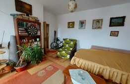 Apartament decomandat, 38 mp., zona Lidl