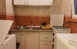 Oportunitate investitie!! Garsoniera 22 mp, la doi pasi de GARA