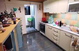 Apartament de 2 camere, decomandat, 70 mp, priveliște deosebită, Răcădău