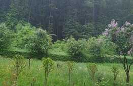 Apartament de 2 camere, decomandat, 70 mp, priveliște deosebită, Răcădău