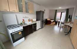 Apartament 2 camere, parcare, terasa 40 mp, zona Subcetate!
