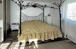 Scadere de pret!Casa cuplata 104 mp utili, 80 mp teren, semicentral!