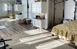 Scadere de pret!Casa cuplata 104 mp utili, 80 mp teren, semicentral!