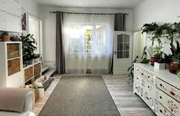 Scadere de pret!Casa cuplata 104 mp utili, 80 mp teren, semicentral!