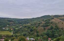 Teren extravilan cu front de 13 m in satul Tauti