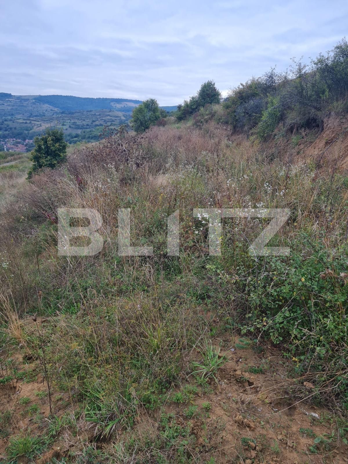 Teren de vânzare Floreşti - 73286TV | BLITZ Cluj-Napoca | Poza3