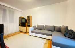 Apartament cu 2 camere, 45 mp, zona strazii Plopilor