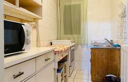 Apartament cu 2 camere, 45 mp, zona strazii Plopilor