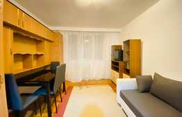 Apartament cu 2 camere, 45 mp, zona strazii Plopilor