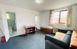 Apartament cu 2 camere, 40 mp, zona strazii Albac