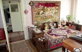 Vanzare apartament 2 camere, 45 mp utili, zona Herculane