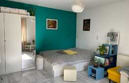 Apartament 1 camera , imobil nou , zona Biomedica, Grigorescu!