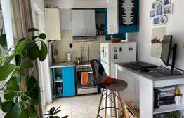 Apartament 1 camera , imobil nou , zona Biomedica, Grigorescu!