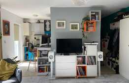 Apartament 1 camera , imobil nou , zona Biomedica, Grigorescu!